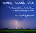 Ask the Dog Guy Thunder Soundtrack for Preparing Puppies for Thunderstorms and Desensitizing Fearful Dogs